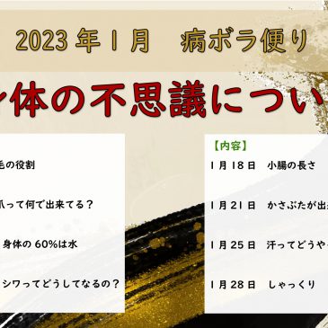 1月病ボラ便り『身体の不思議について』